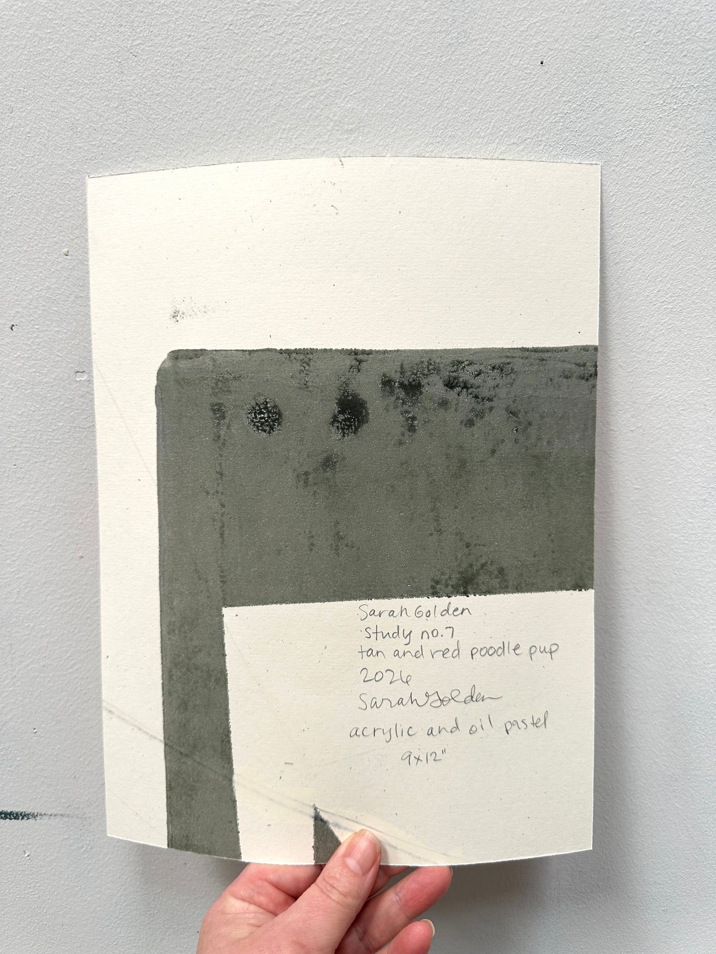 Studio Studies No. 7: Original Poodle Dog Painting on Paper, 9x12"