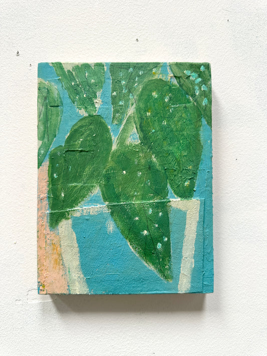 Begonia Study - 8x6"