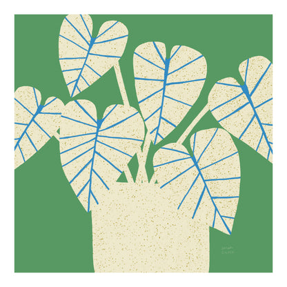 Gloriosum Houseplant Print